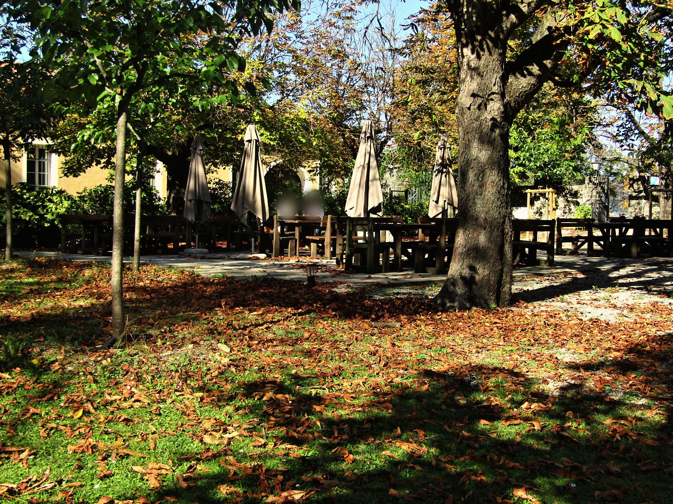 Il giardino sotto i castagni, in autunno