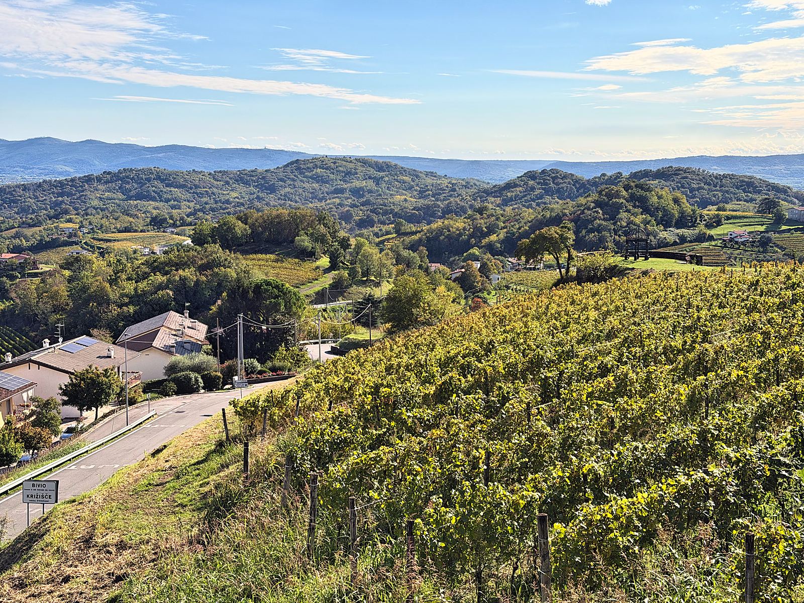 Il vigneto nei colori d’autunno
